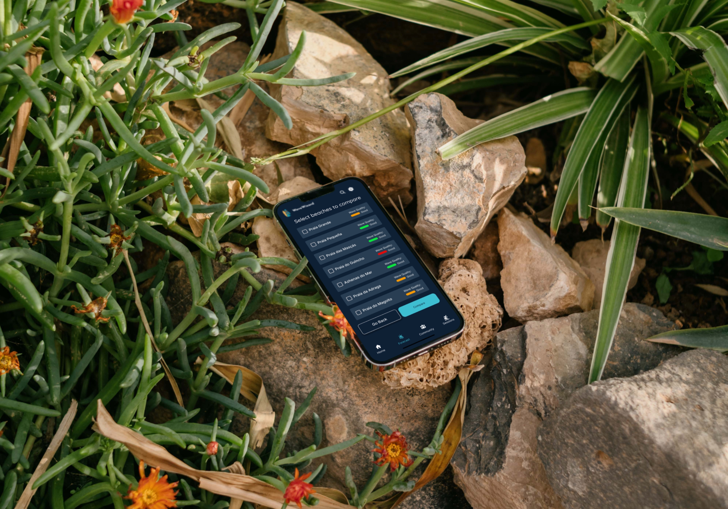 compare beach dropdown outdoor